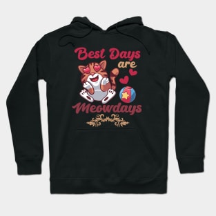 Best Days Are Meowdays Cute Heart Eyes Cat Hoodie